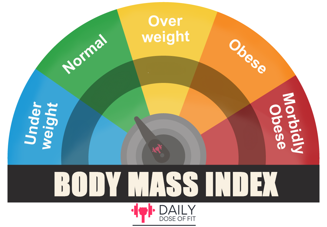 Chart Showing BMI ranges